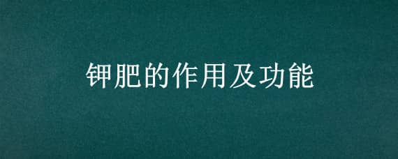 钾肥的作用及功能 磷肥的作用及功能