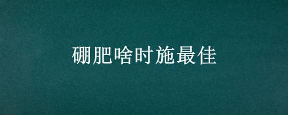 硼肥啥时施最佳（玉米用硼肥啥时施最佳）