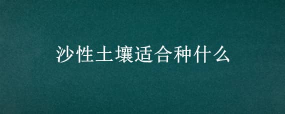 沙性土壤适合种什么（沙性土壤适合种什么药材）