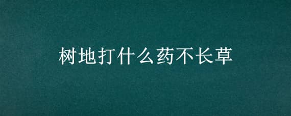 树地打什么药不长草（打草不伤树苗的药）