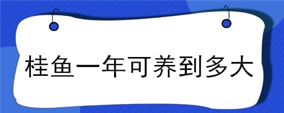 桂鱼一年可养到多大（桂鱼什么时候养最好）