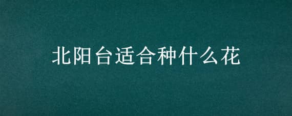 北阳台适合种什么花 北阳台适合种什么花旺家运