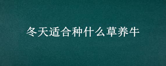 冬天适合种什么草养牛 冬天适合种什么草养牛娃