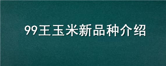 99王玉米新品种介绍 99高产王玉米种产品介绍