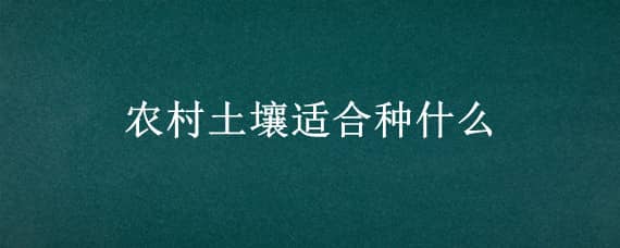 农村土壤适合种什么（农村土壤适合种什么菜）