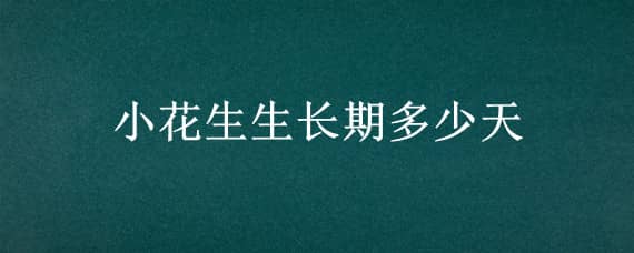 小花生生长期多少天 花生生长时间多少天