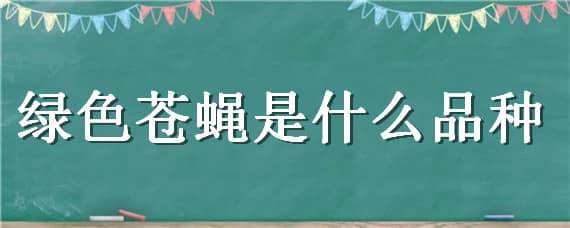 绿色苍蝇是什么品种 绿色苍蝇是什么品种的蜘蛛