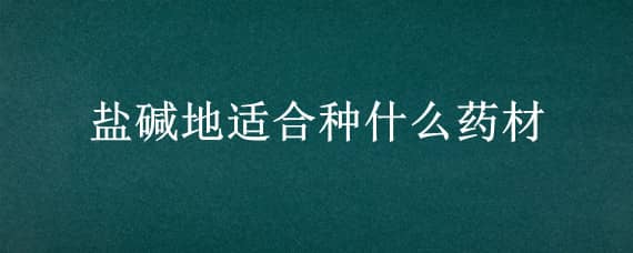 盐碱地适合种什么药材（盐碱地适合种什么药材品种）