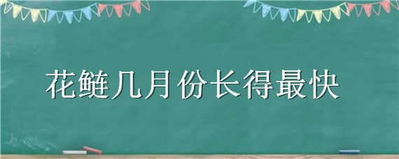 花鲢几月份长得最快（花白鲢几月份生长速度最快）