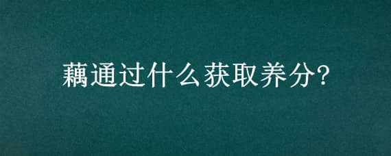 藕通过什么获取养分? 藕通过什么获取养分