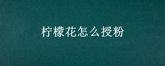 柠檬花怎么授粉 柠檬花怎么授粉图解