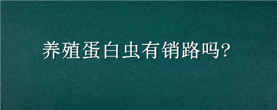 养殖蛋白虫有销路吗（养殖蛋白虫销路怎么样）