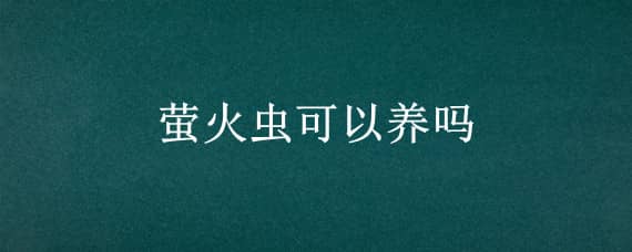 萤火虫可以养吗（萤火虫可以养吗的英文）