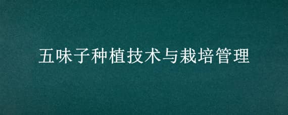 五味子种植技术与栽培管理 五味子高产栽培技术