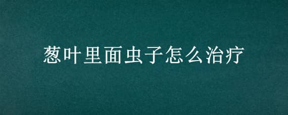 葱叶里面虫子怎么治疗（葱叶里的虫子怎么治）