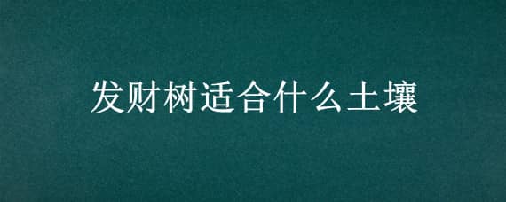 发财树适合什么土壤（发财树种在什么土壤适合）