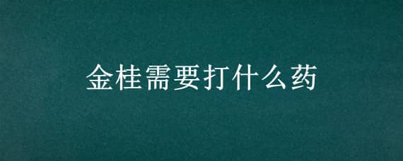 金桂需要打什么药 桂金是什么中药