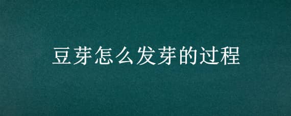 豆芽怎么发芽的过程 豆芽怎么发芽的过程图片