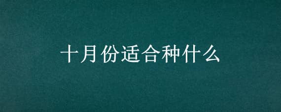 十月份适合种什么 十月份适合种什么植物