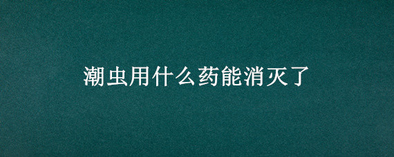 潮虫用什么药能消灭了 什么药能杀死潮虫子