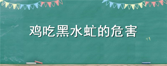 鸡吃黑水虻的危害 鸡吃黑水虻是不是不容易生病