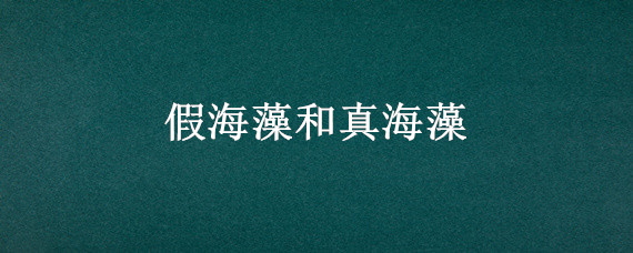 假海藻和真海藻 假海藻和真海藻调后图片对比