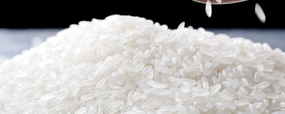稻花香大米是哪里生产的（稻花香大米在哪个地方生产）