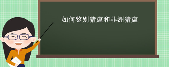 如何鉴别猪瘟和非洲猪瘟 怎么看猪是不是非洲猪瘟