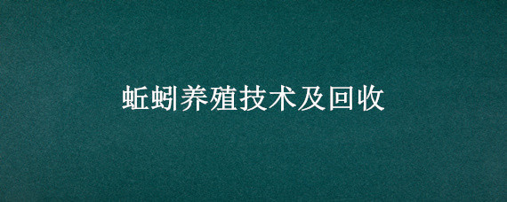 蚯蚓养殖技术及回收（蚯蚓养殖技术及回收,干蚯蚓多少钱一吨）