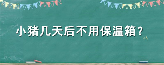 小猪几天后不用保温箱（小猪出生多少天不用住保温箱）