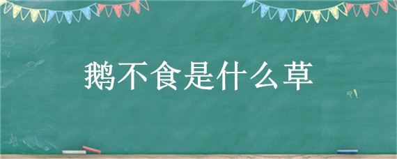 鹅不食是什么草 鹅不食的草是什么草