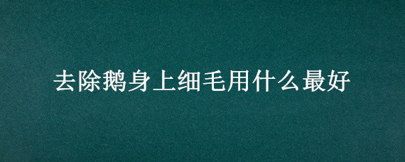 去除鹅身上细毛用什么最好 鹅身上的毛怎么去干净