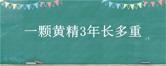 一颗黄精3年长多重（一株黄精一年能长多重）