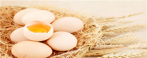 鸡蛋破损的主要原因 鸡蛋开裂是什么原因