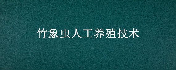 竹象虫人工养殖技术 竹象虫的养殖技术