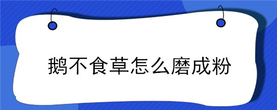 鹅不食草怎么磨成粉 鹅不食草怎么研磨成粉?