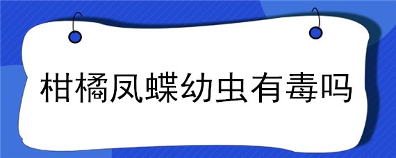 柑橘凤蝶幼虫有毒吗 桔柑凤蝶幼虫