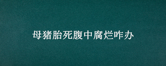 母猪胎死腹中腐烂咋办 母猪腹中死胎腐烂有哪些症状