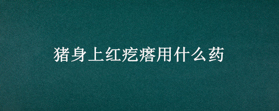 猪身上红疙瘩用什么药 猪身上有红疙瘩是什么病怎么治疗人能吃不