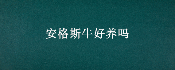 安格斯牛好养吗 安格斯牛好不好养