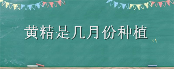 黄精是几月份种植（黄精适合几月份种植）