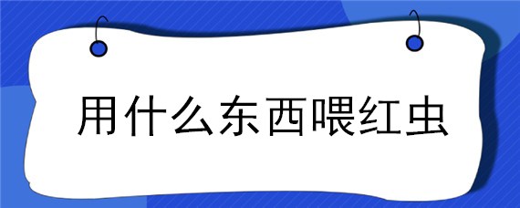 用什么东西喂红虫 喂红虫的好处