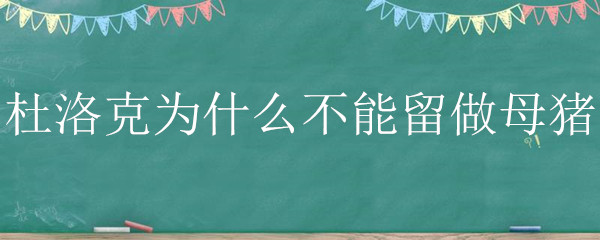 杜洛克为什么不能留做母猪 杜洛克和二元母猪下的猪能留母猪吗