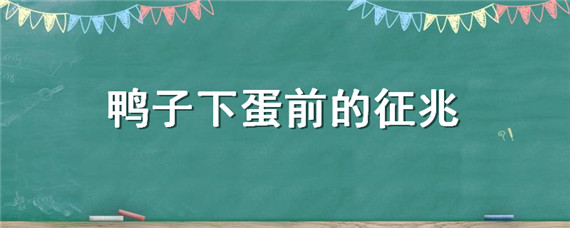 鸭子下蛋前的征兆 鸭子下蛋前一个月有什么表现