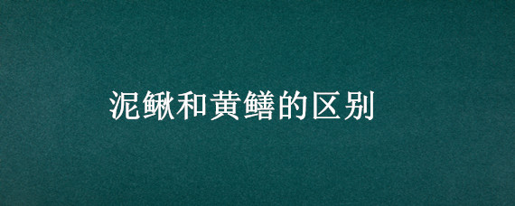 泥鳅和黄鳝的区别（泥鳅和黄鳝的区别哪个补血）