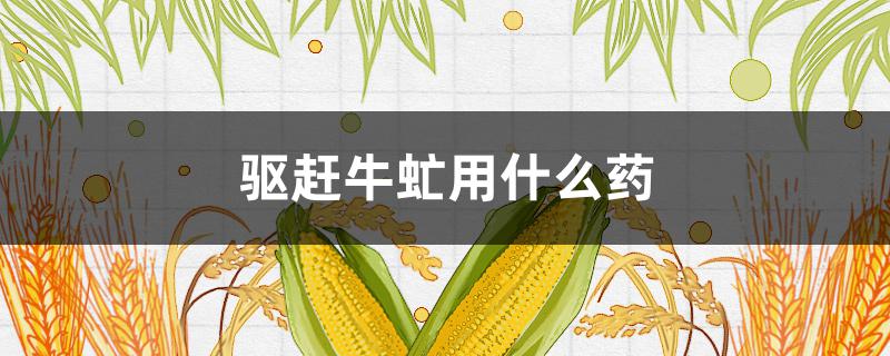 驱赶牛虻用什么药 驱赶牛虻用什么药最有效