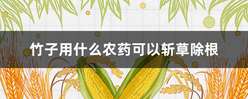 竹子用什么农药可以斩草除根（能杀死竹子除根的草甘膦除草剂）