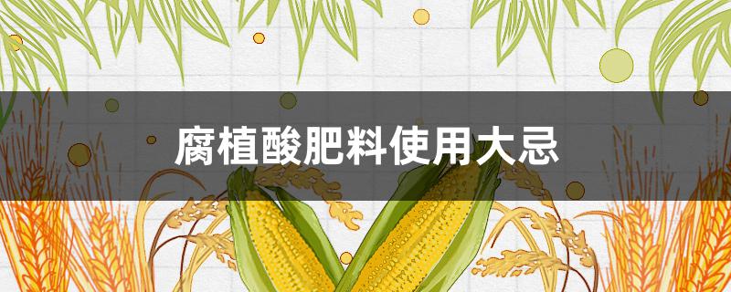 腐植酸肥料使用大忌（腐植酸类肥料）