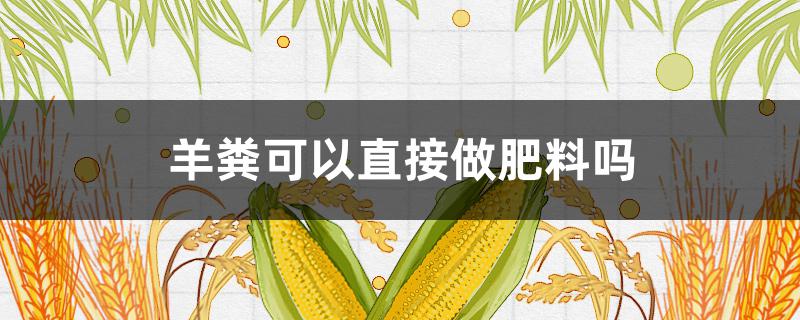 羊粪可以直接做肥料吗 羊粪可以直接做肥料吗?