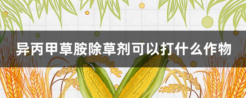 异丙甲草胺除草剂可以打什么作物（异丙甲草胺除草剂用于哪些）